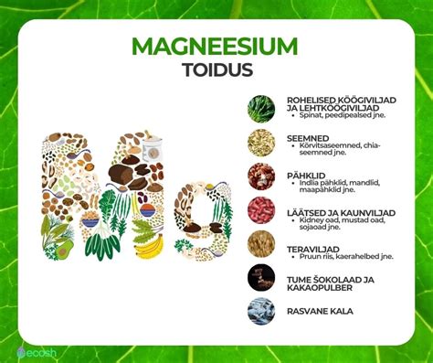 Magneesium toidus .